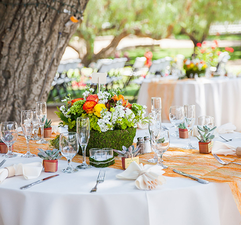 Royal Plate - Restaurant & Catering HTML Template