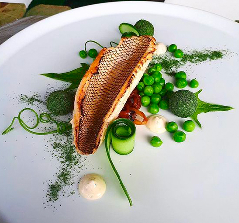 Royal Plate - Restaurant & Catering HTML Template